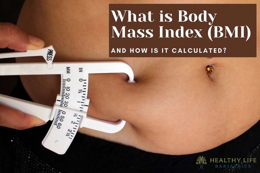 What Does Body Mass Index Mean and How is it Calculated?